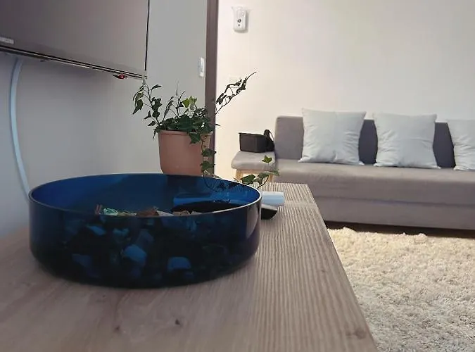 Oasis Studio Bucureşti