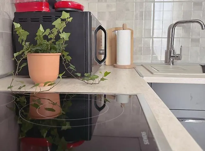 Oasis Studio * Bucharest