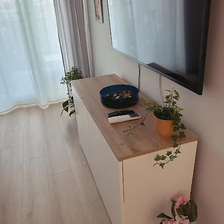 Apartment Oasis Studio Bucharest